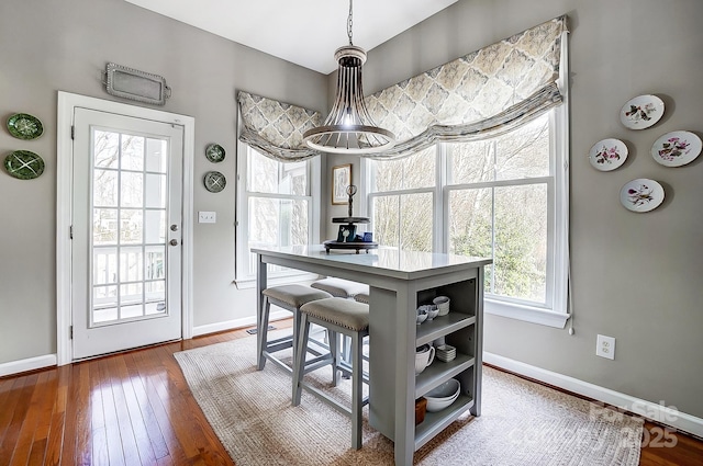 dining room with hardwood / wood-style floors