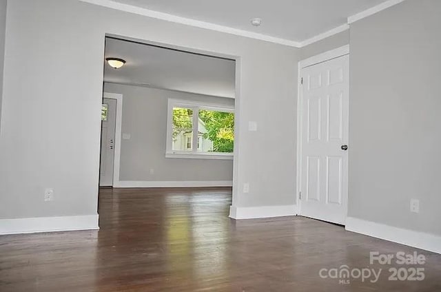 spare room with crown molding