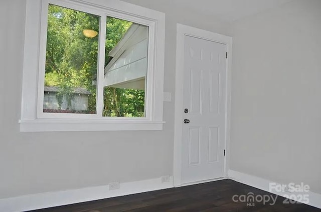 entryway featuring dark wood-type flooring