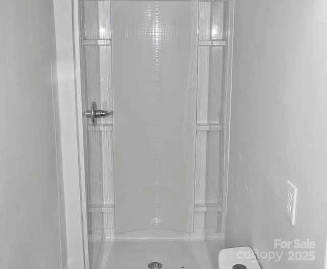 bathroom with toilet and a shower