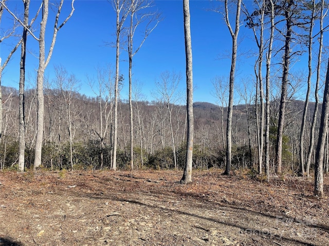 0000 Mountain Grove Ln Unit 59, Fletcher NC, 28732 land for sale