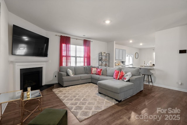 living room featuring wood-type flooring