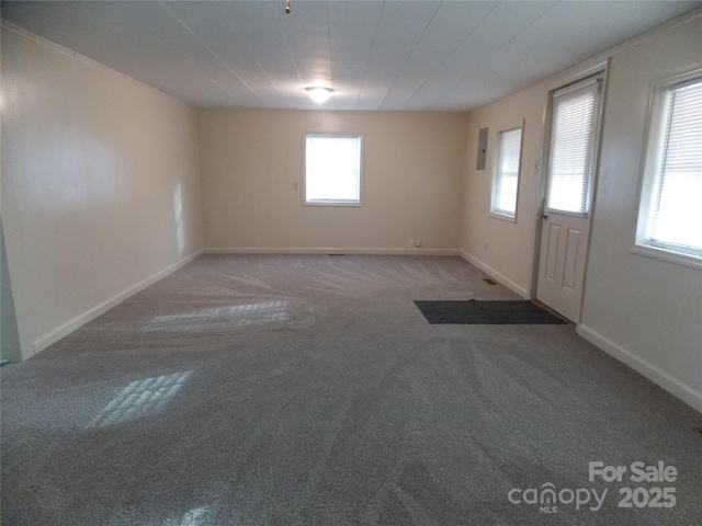 spare room with carpet