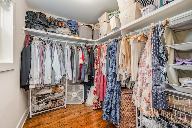 spacious closet featuring wood-type flooring