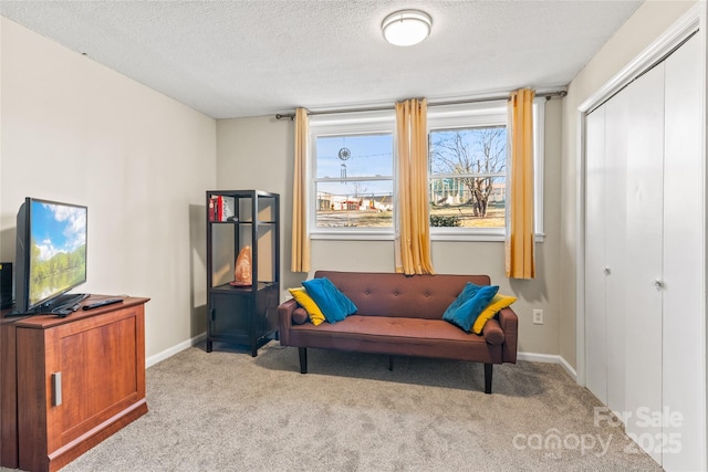 sitting room with light carpet and a textured ceiling