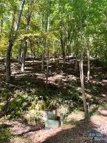 Listing photo 3 for TBD Hickory Vista Ln Unit 101, 102, 103, 106, 107, Mills River NC 28759