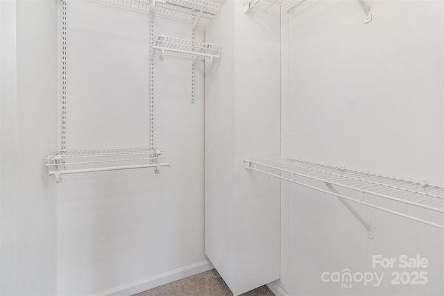 view of spacious closet