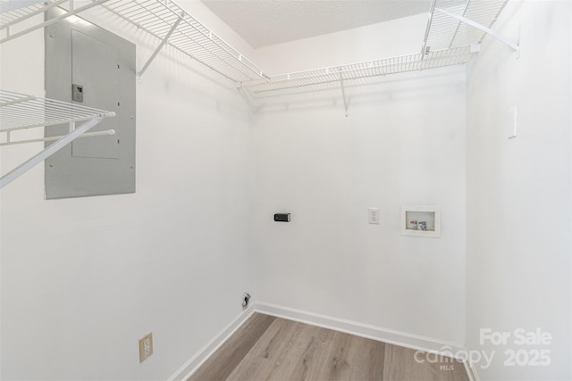 laundry room with hookup for an electric dryer, electric panel, hookup for a washing machine, and light hardwood / wood-style flooring