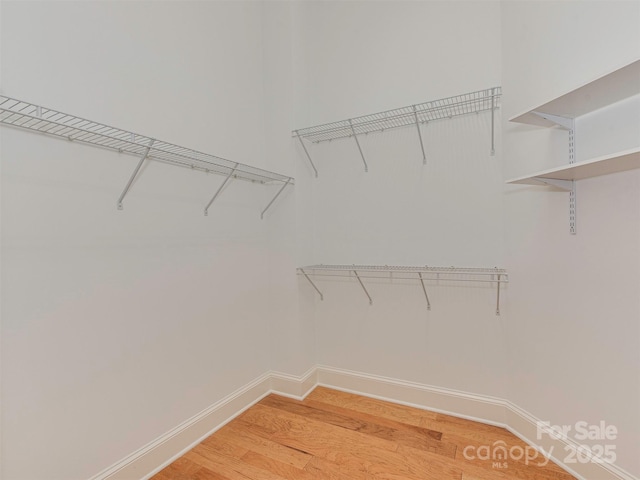 walk in closet featuring hardwood / wood-style floors