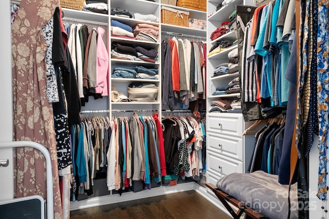 walk in closet with dark wood-type flooring