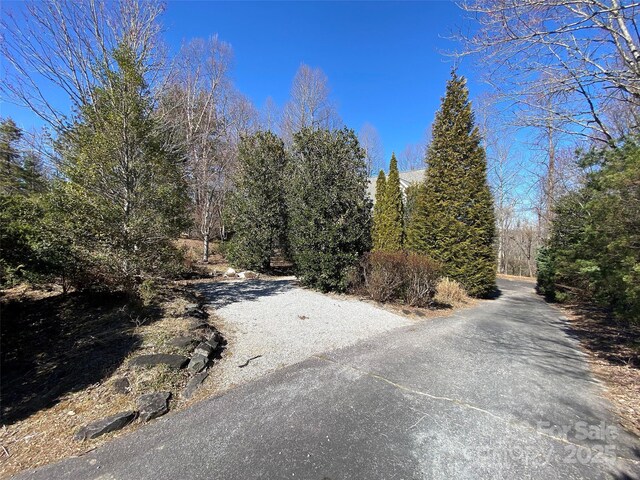 1208 Kanuga Ridge Rd, Hendersonville, NC 28739 - photo 5