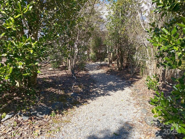 1208 Kanuga Ridge Rd, Hendersonville, NC 28739 - photo 7