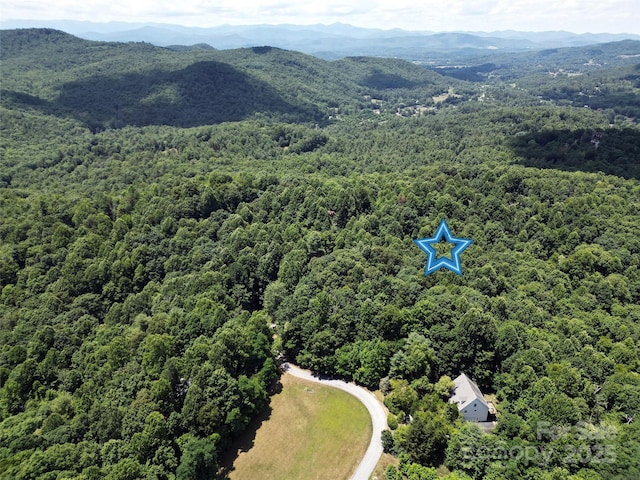 1208 Kanuga Ridge Rd, Hendersonville, NC 28739 - photo 44