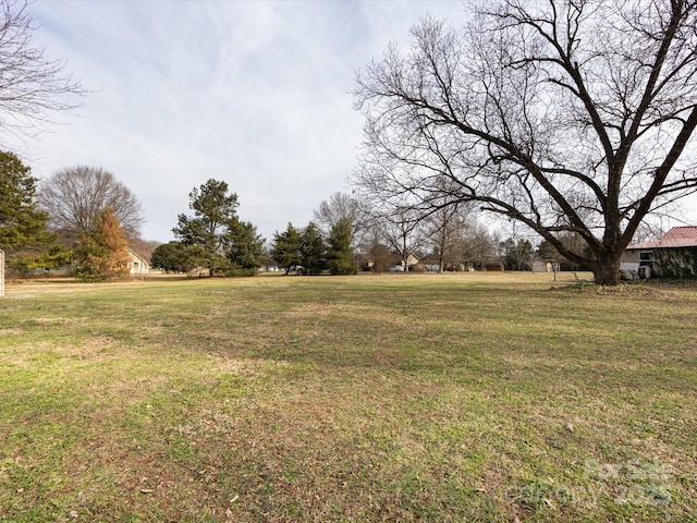 view of yard