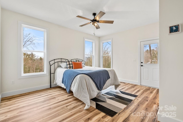 bedroom with multiple windows, light hardwood / wood-style flooring, and ceiling fan