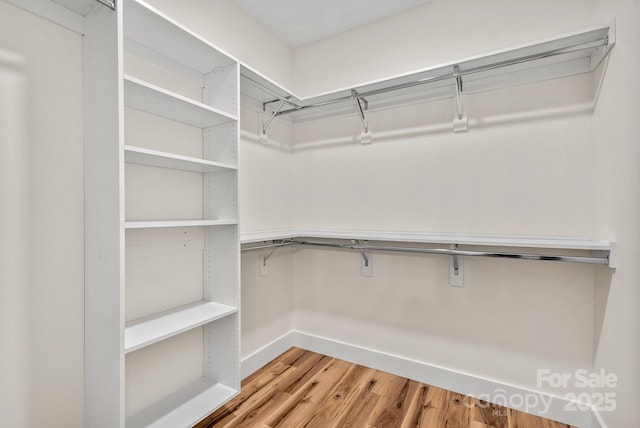 walk in closet featuring wood-type flooring