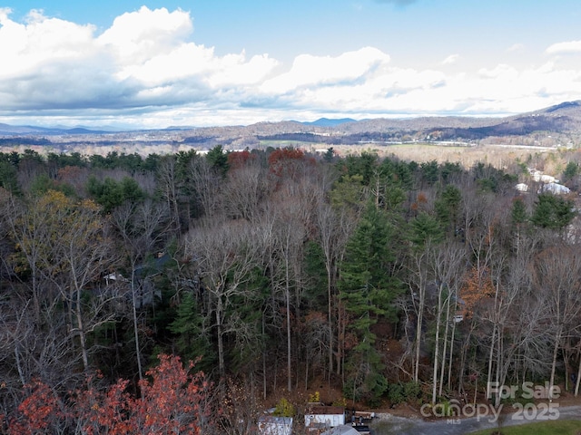 property view of mountains