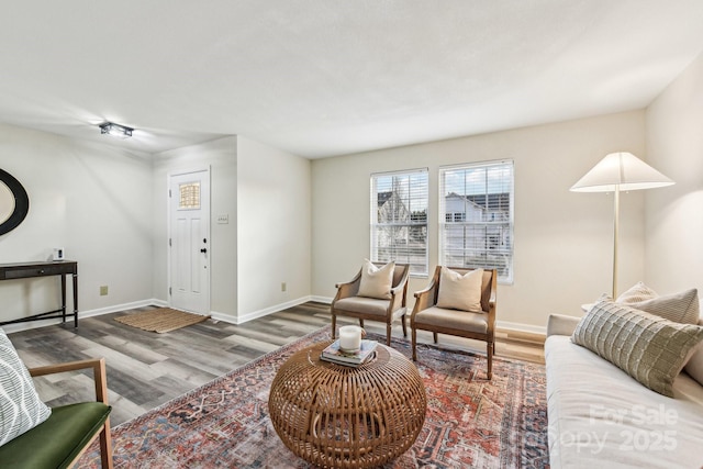 living room with hardwood / wood-style flooring