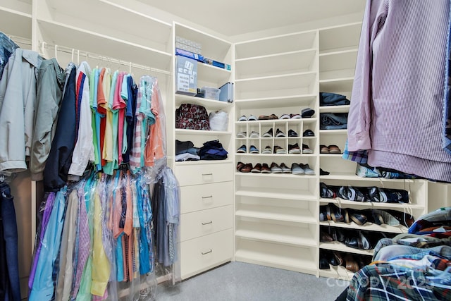 view of spacious closet