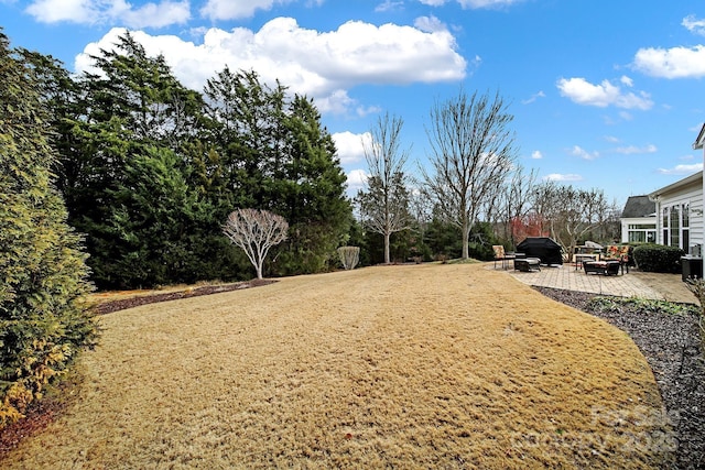 view of yard featuring a patio