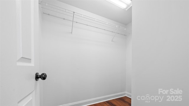 walk in closet featuring dark hardwood / wood-style flooring