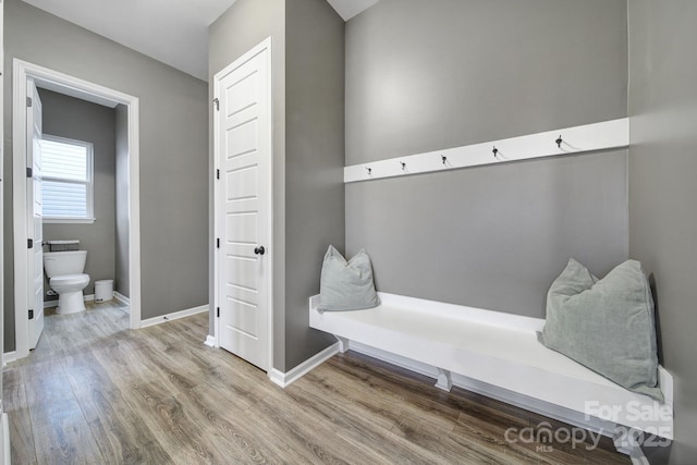 mudroom featuring wood-type flooring