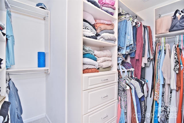 walk in closet featuring carpet floors