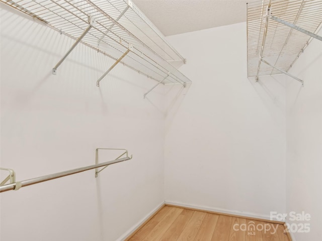 walk in closet with light wood-style flooring