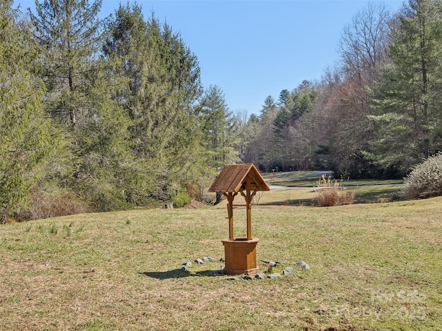 view of yard with a wooded view