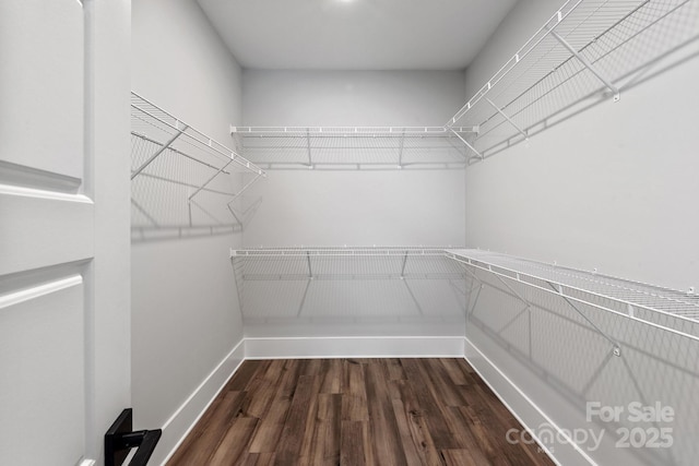 spacious closet with dark hardwood / wood-style flooring