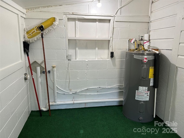 utility room with electric water heater