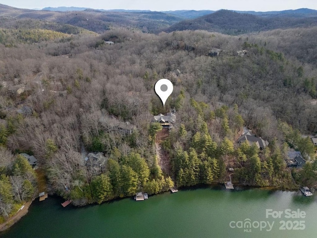 birds eye view of property featuring a water and mountain view