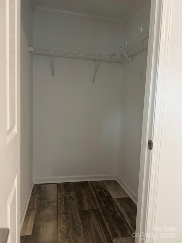 spacious closet with dark wood-type flooring