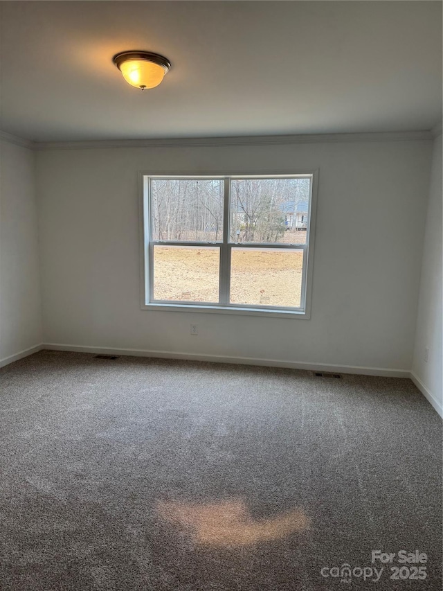 unfurnished room with ornamental molding and carpet