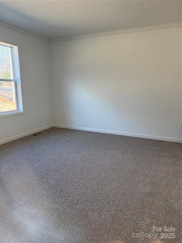 spare room with ornamental molding and carpet flooring