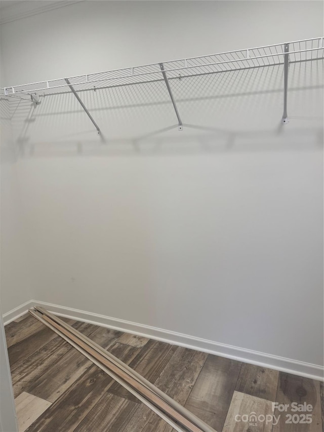 walk in closet featuring hardwood / wood-style floors