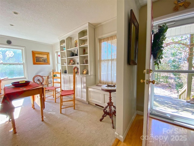 sitting room featuring ornamental molding, a textured ceiling, and baseboards