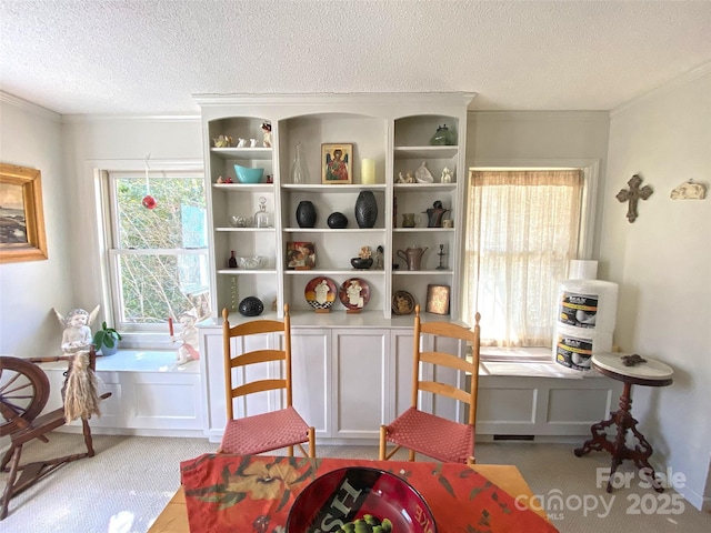 playroom featuring a textured ceiling, carpet floors, and ornamental molding