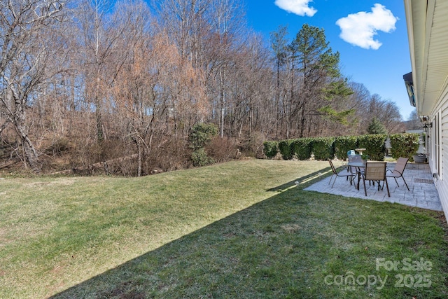 view of yard featuring a patio