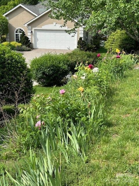 view of yard with an attached garage and driveway