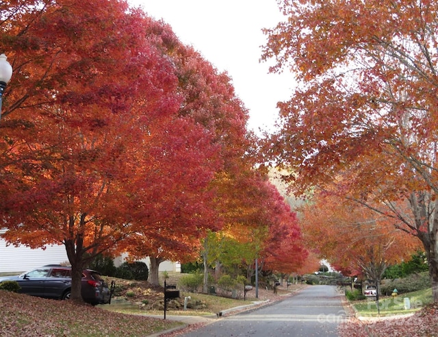 view of road featuring curbs