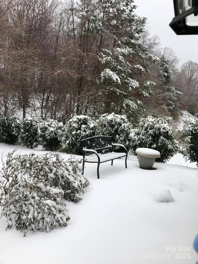 view of snowy yard