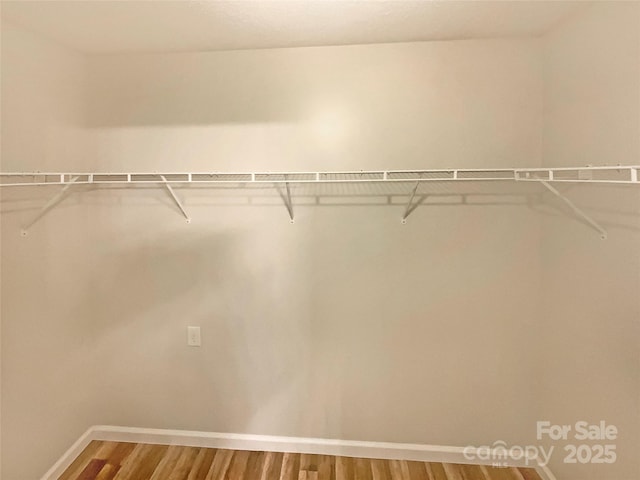 walk in closet with wood-type flooring