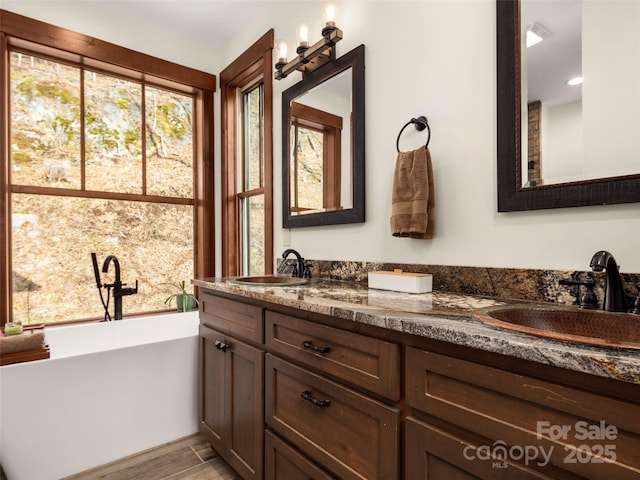 bathroom with vanity, hardwood / wood-style floors, and a washtub