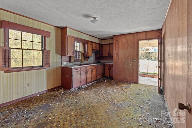 kitchen featuring sink and a textured ceiling