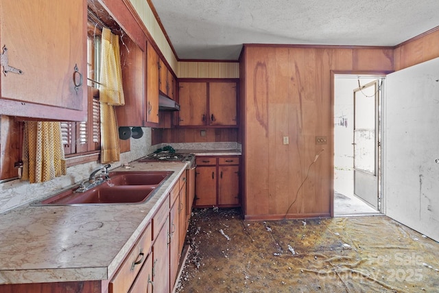 kitchen featuring wood walls, sink, ornamental molding, stove, and a textured ceiling