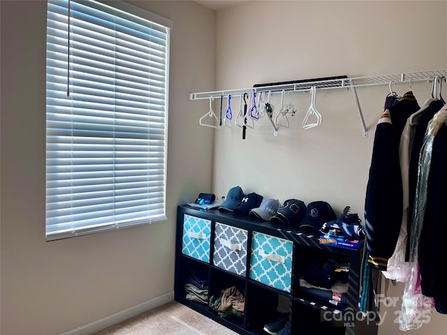 walk in closet with carpet floors