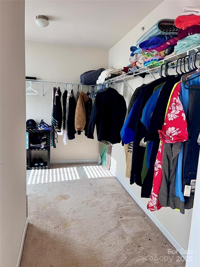 walk in closet with carpet flooring