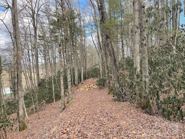 Listing photo 3 for LOT4-R Middlemount Rd, Pisgah Forest NC 28768