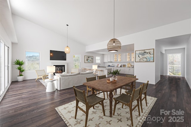 dining space featuring dark hardwood / wood-style flooring and high vaulted ceiling